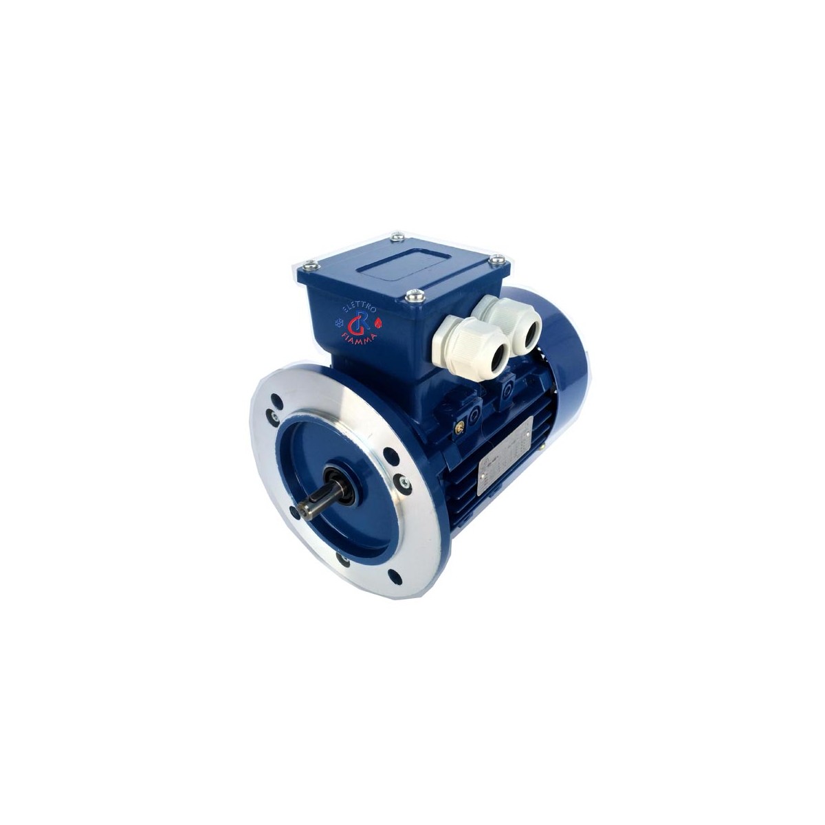 MOTORE ELETTRICO COCLEA CALDAIA BIOMASSA D\'ALESSANDRO BS-CS-CSI-CSL-GS