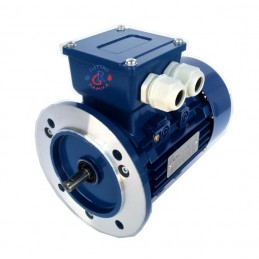 MOTORE ELETTRICO COCLEA CALDAIA BIOMASSA 0,37KW VULCANO