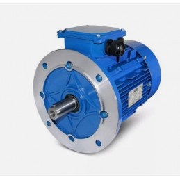 MOTORE ELETTRICO COCLEA CALDAIA BIOMASSA 0,37KW B5 230V